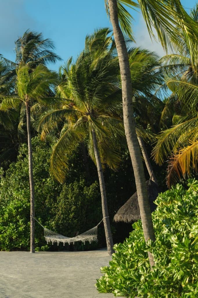 One&Only Reethi Rah — view 22