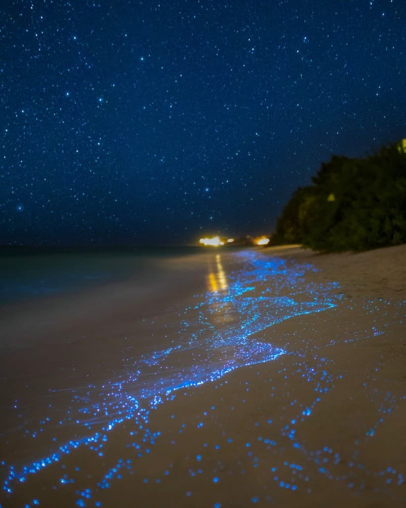 Soneva Fushi — view 17