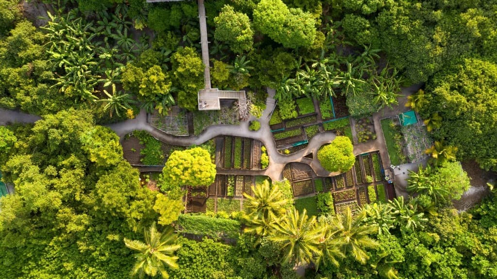 Soneva Fushi — view 16