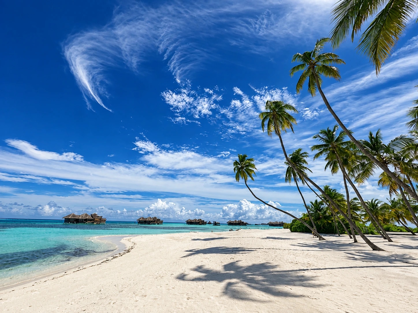 Plage de sable blanc sous les cocotiers à Gili Lankanfushi