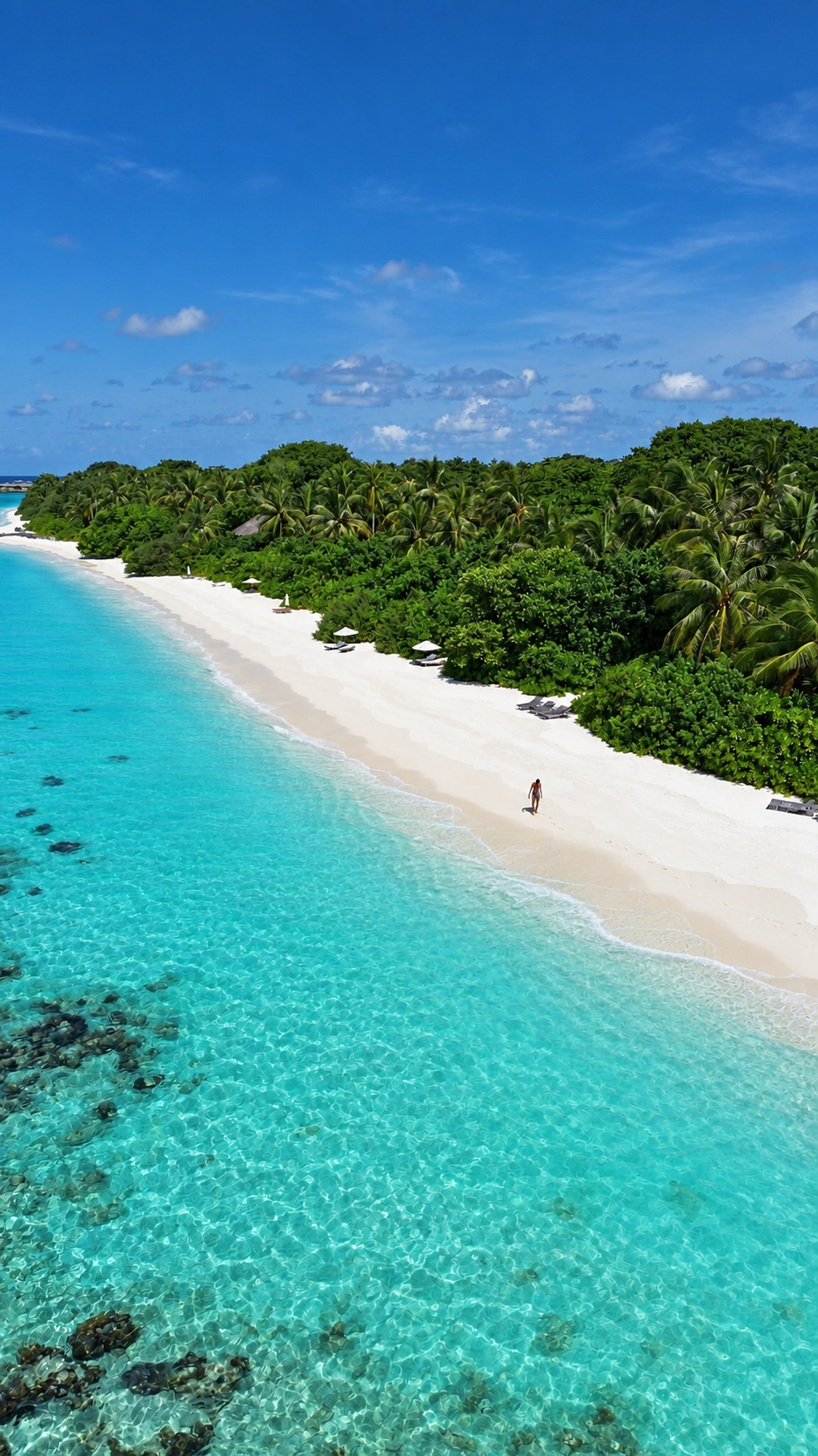 Vue aérienne de la plage, du récif et de la forêt de Soneva Fushi