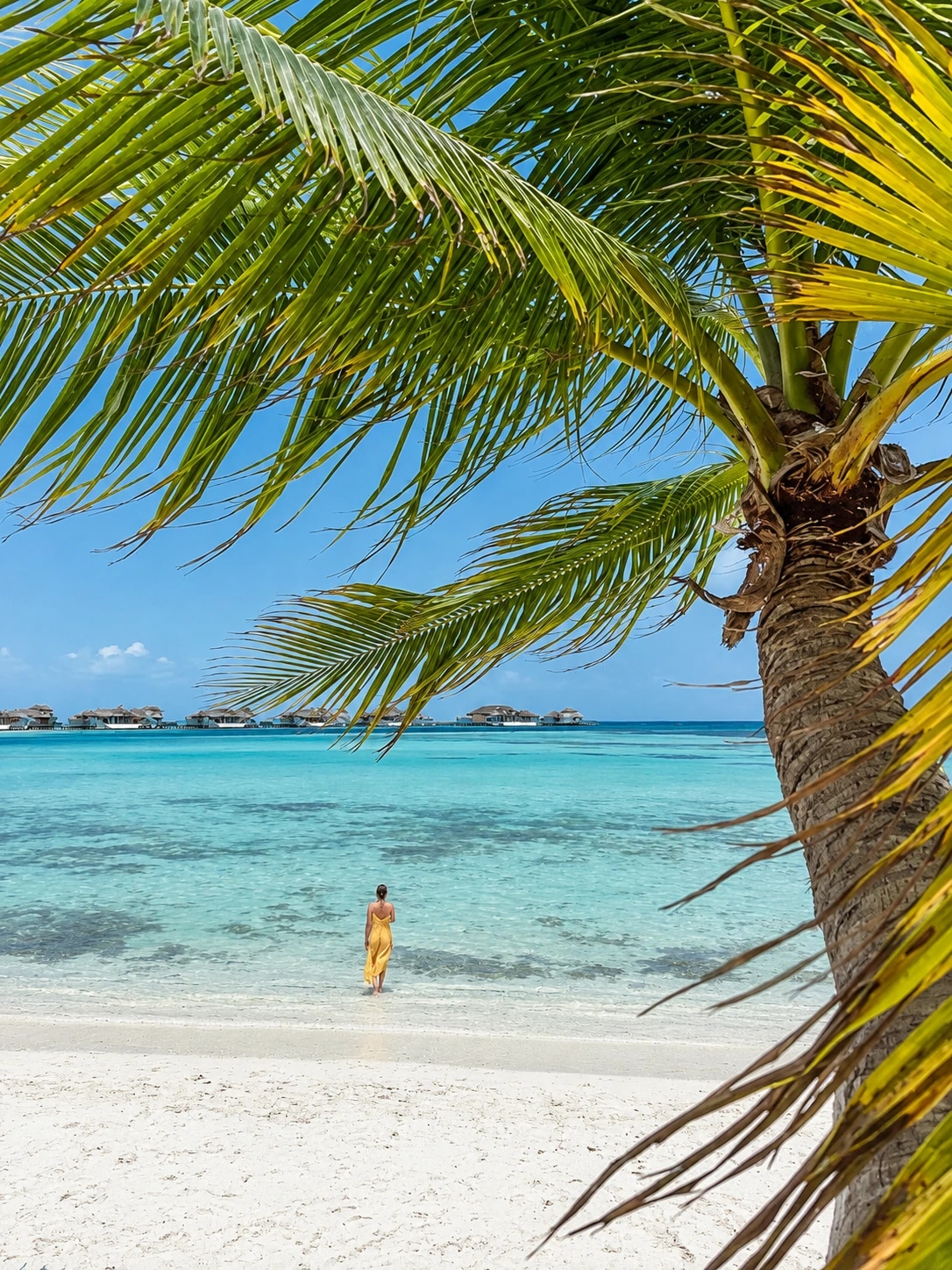 Plage et lagon turquoise sous les palmes à Soneva Jani