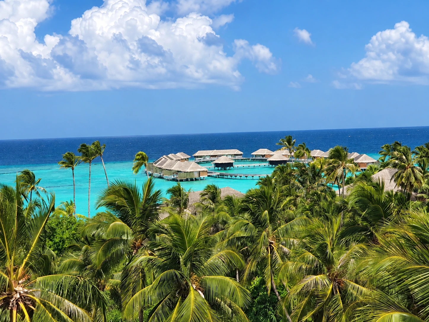 Palmeraie et villas au-dessus du lagon à Velaa Private Island