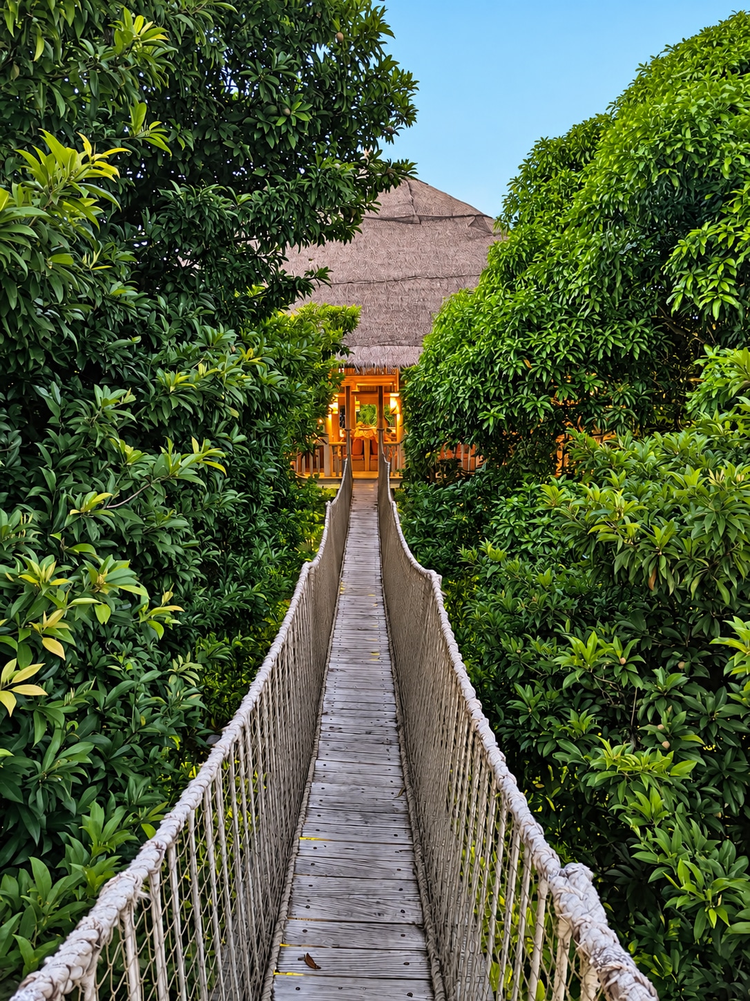Passerelle suspendue au milieu des arbres à Soneva Fushi